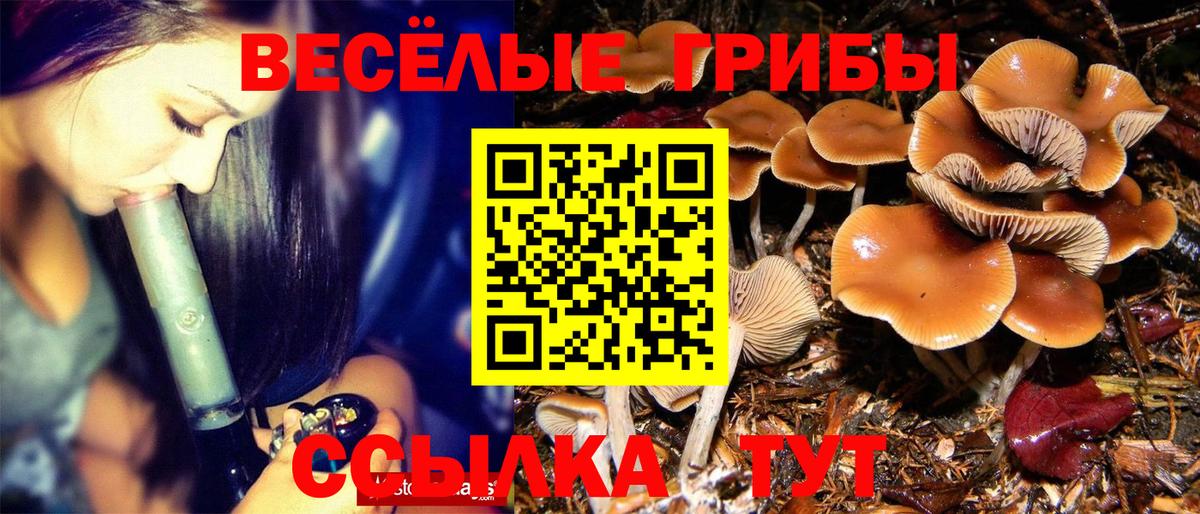 Галлюциногенные грибы прущие грибы Астрахань