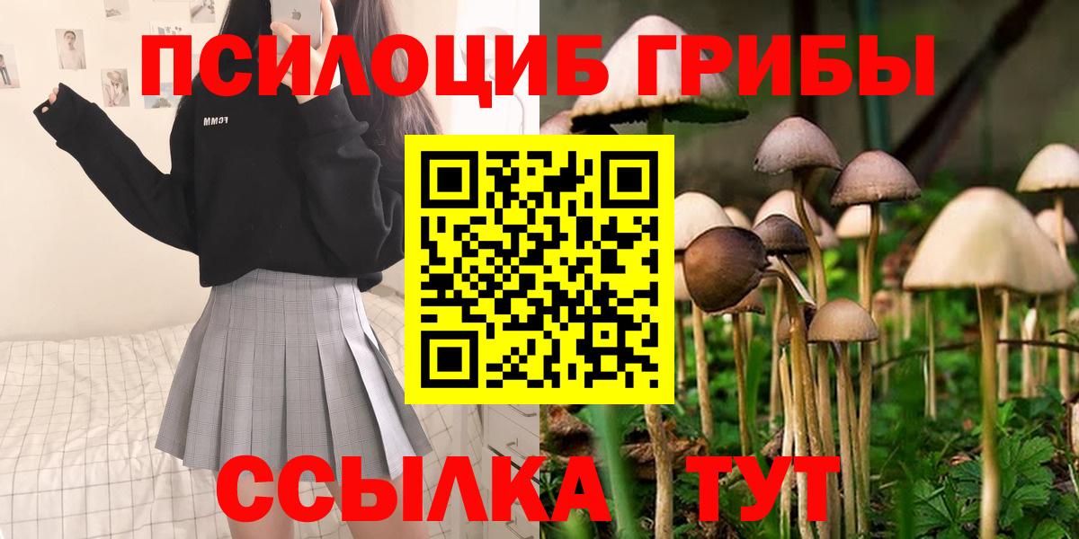 Галлюциногенные грибы MAGIC MUSHROOMS  Вход с VPN  Псилоцибиновые грибы Cubensis  Астрахань 